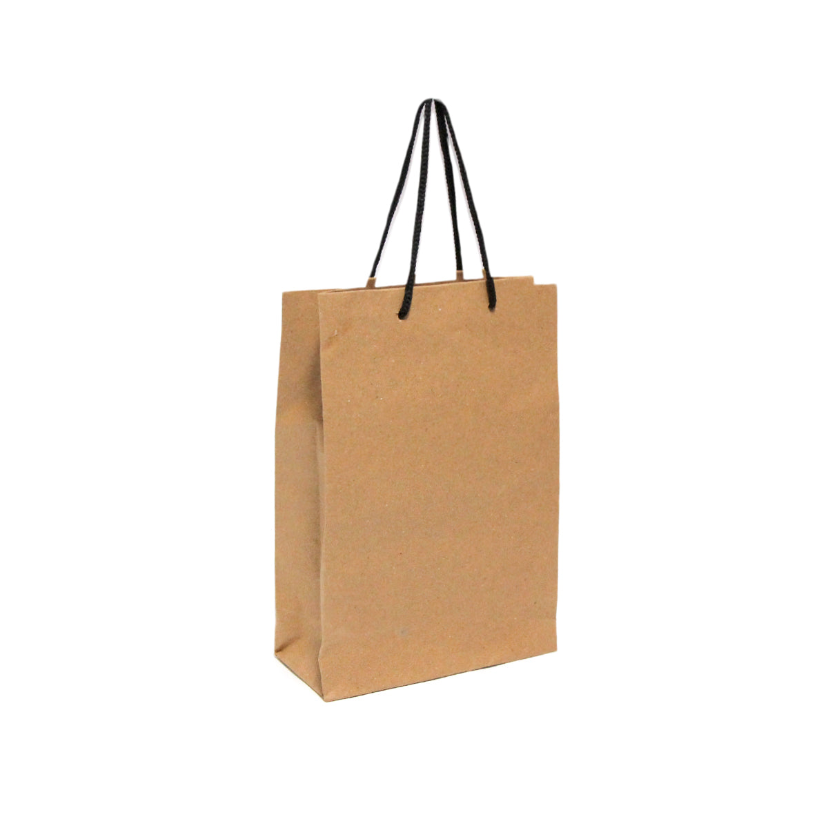 Kraft Paper Gift Bags 9x12x3 Inch - Pack of 10