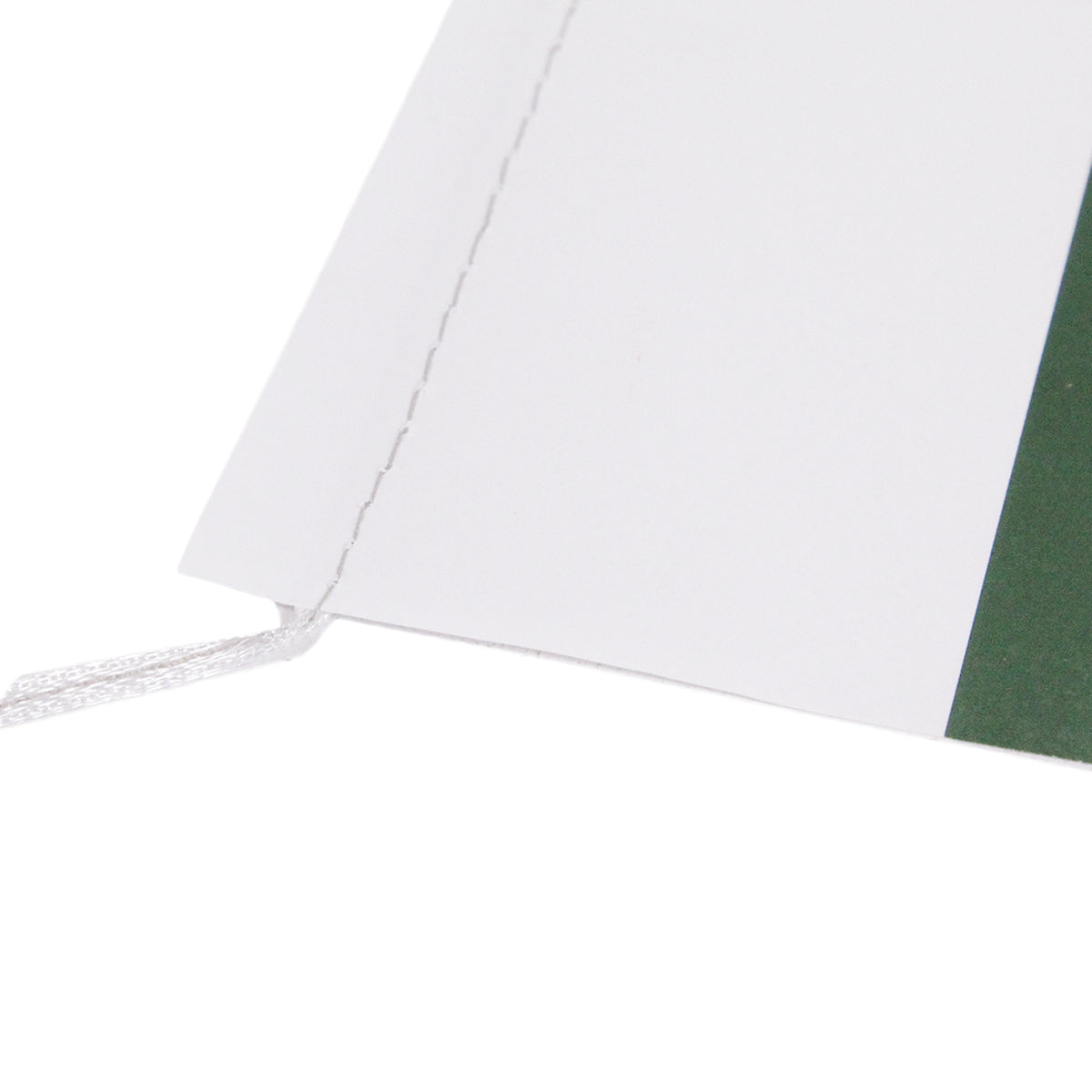 Pakistan Paper Garland Flag Banner