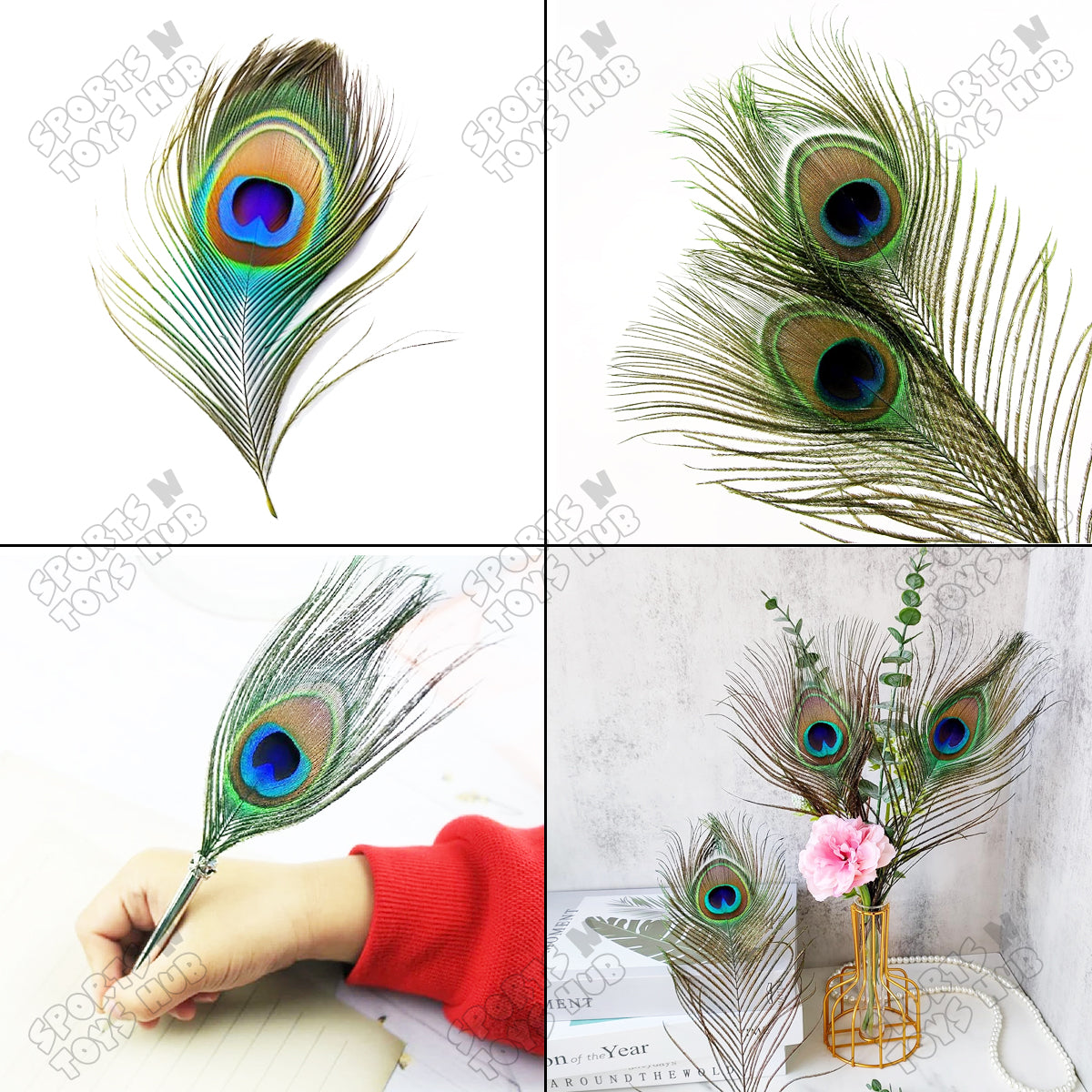 Peacock Natural Bird Feathers - Pack Of 25
