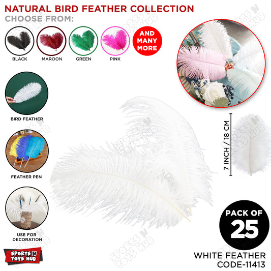 Orchid Natural Bird Feathers - Pack Of 25