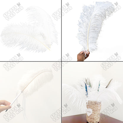 Orchid Natural Bird Feathers - Pack Of 25