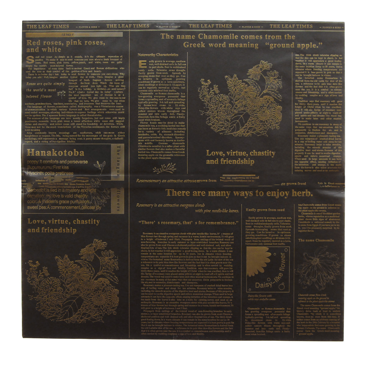 Daisy Newspaper Flower Wrapping Sheet , Frosted Matte Wrapping Paper, Floral Gifting Sheets Bouquet Wraps