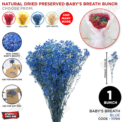 Real Dried Baby Breath Natural Blue Color Flower Bunch
