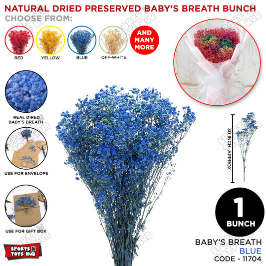 Real Dried Baby Breath Natural Blue Color Flower Bunch