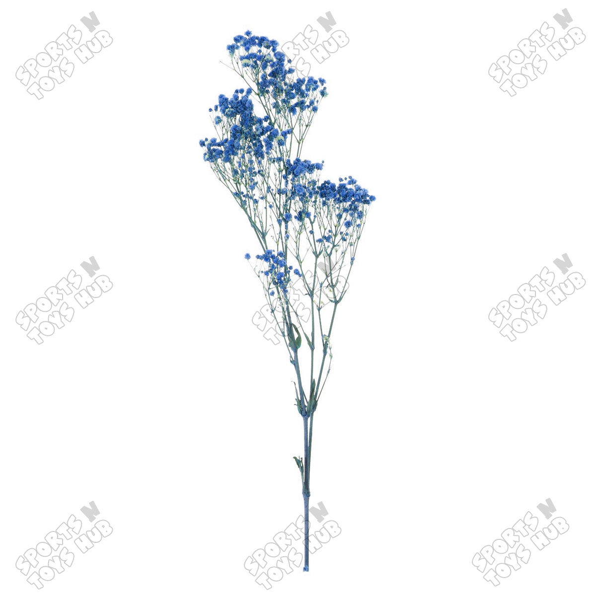 Real Dried Baby Breath Natural Blue Color Flower Bunch