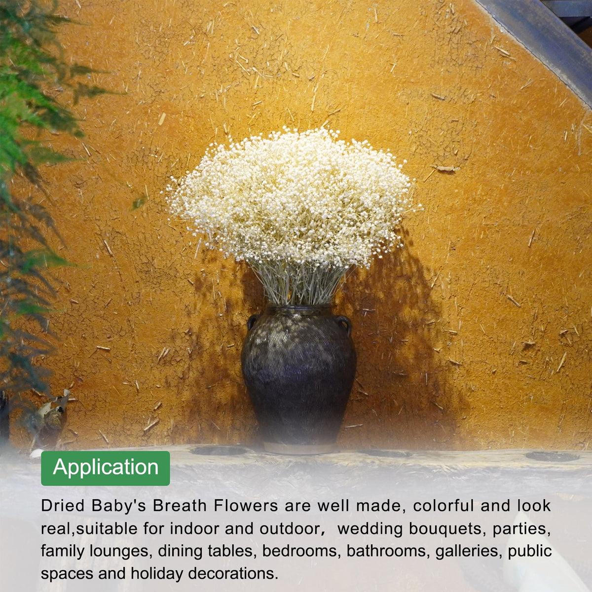 Real Dried Baby Breath Natural Flower Bunch