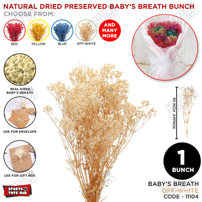 Real Dried Baby Breath Natural Flower Bunch