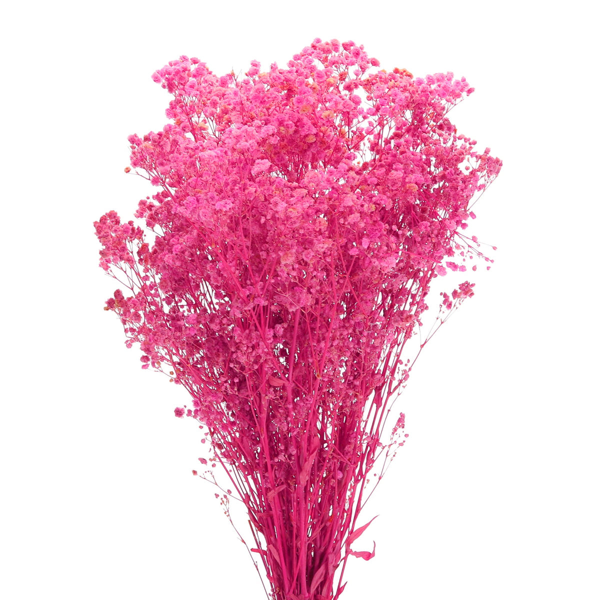 Real Dried Baby Breath Natural Pink Color Flower Bunch
