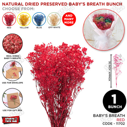 Real Dried Baby Breath Natural Red Color Flower Bunch