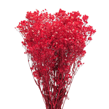 Real Dried Baby Breath Natural Red Color Flower Bunch