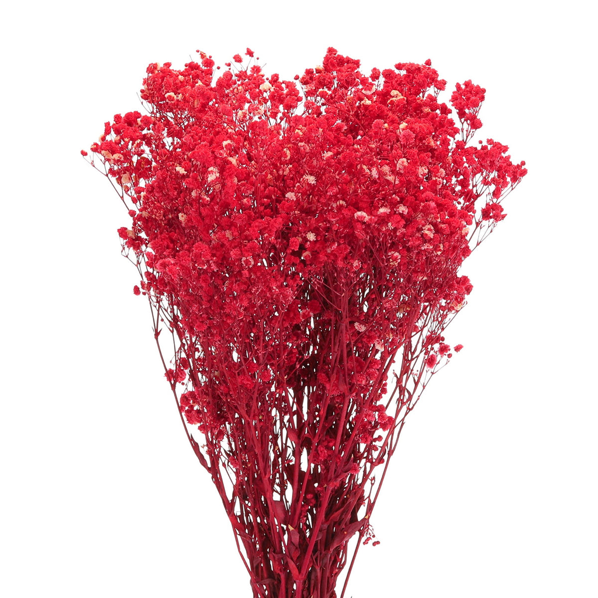 Real Dried Baby Breath Natural Flower Bunch