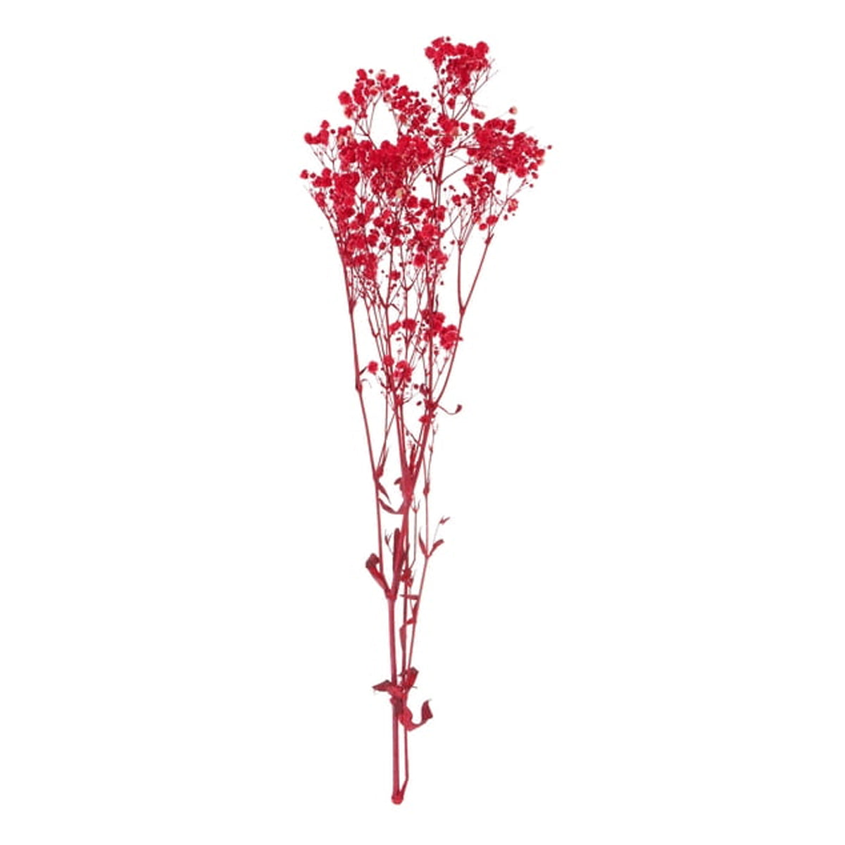 Real Dried Baby Breath Natural Red Color Flower Bunch