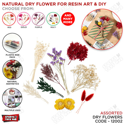 Natural Dried Flowers Assorted – Real Preserved Dry Flowers & Leaves in Plastic Box Pack for UV Epoxy Resin Art, Jewelry Making, Gift Wrapping, Floral Decoration & DIY Crafts