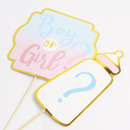 Gender Reveal Photo Props - 10 Pcs