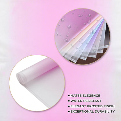 Gradient Edge Solid to Clear with Dual Pin Lines Translucent Bouquet Wrapping Sheets