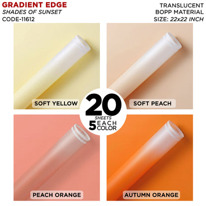 New Gradient Edge Solid to Clear with Dual Pin Lines Translucent Bouquet Wrapping Sheets