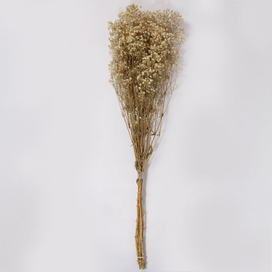 Real Dried Baby Breath Natural Flower Bunch