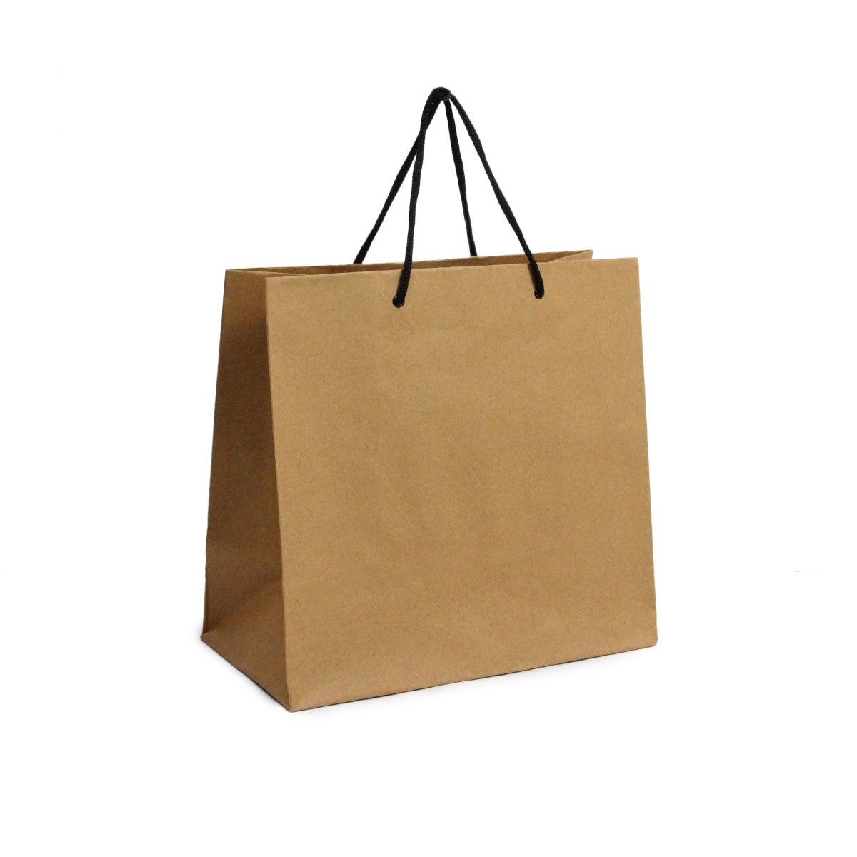 Kraft Paper Gift Bags 9x10x5 Inch - Pack of 10