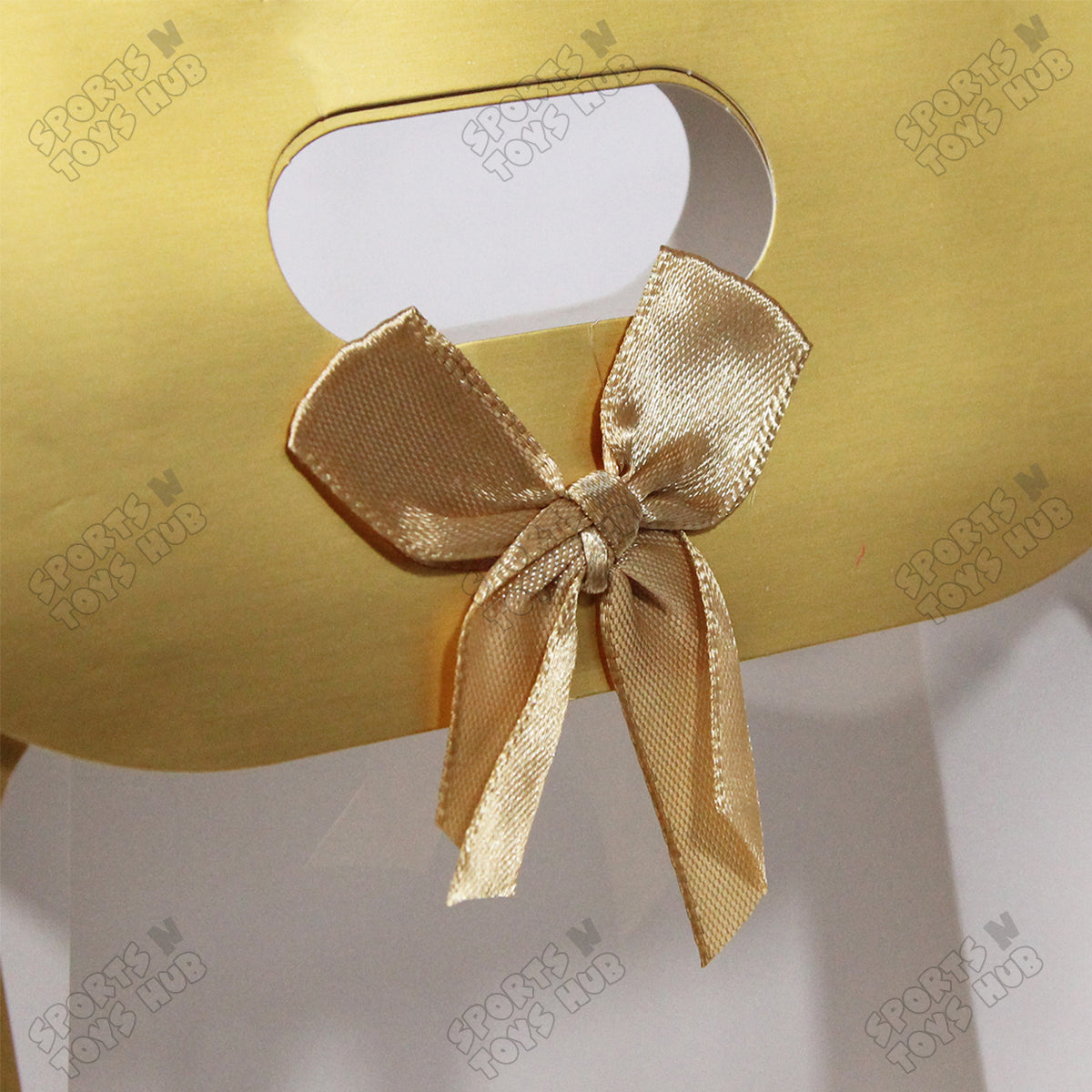 Window Paper Bag - Pack of 10