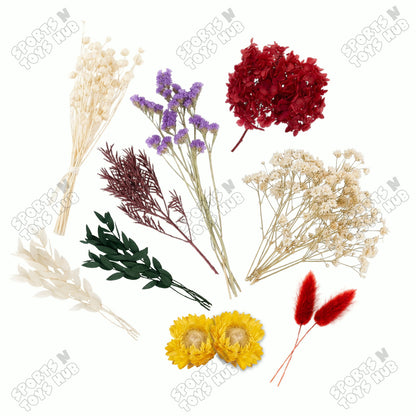 Natural Dried Flowers Assorted – Real Preserved Dry Flowers & Leaves in Plastic Box Pack for UV Epoxy Resin Art, Jewelry Making, Gift Wrapping, Floral Decoration & DIY Crafts