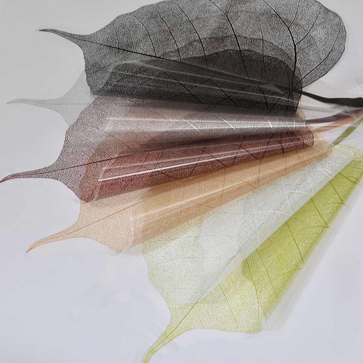 Leaf Shape Transparent OPP Material Bouquet Wrapping Sheets - Pack of 20 Mix Colors