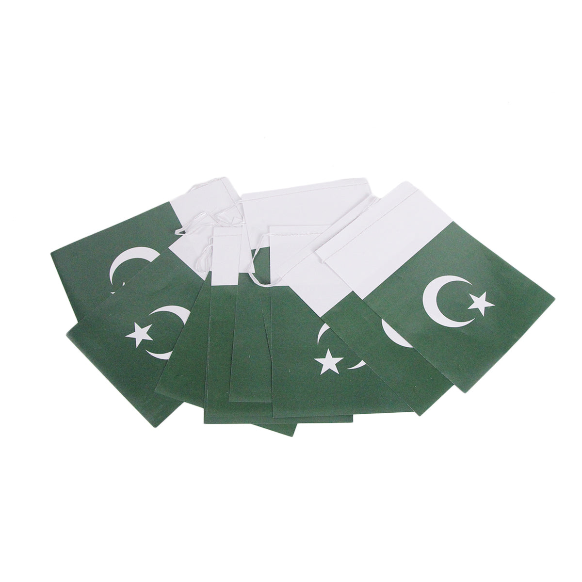 Pakistan Paper Garland Flag Banner