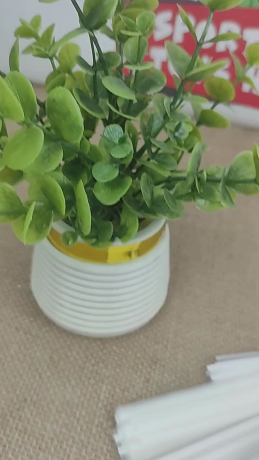 New Gradient Edge Solid to Clear with Dual Pin Lines Translucent Bouquet Wrapping Sheets