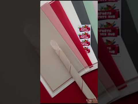 Triple Edge Thin Clear Border - Mix Color 20 Sheet Pack - Translucent Flower Wrapping Bouquet Sheets